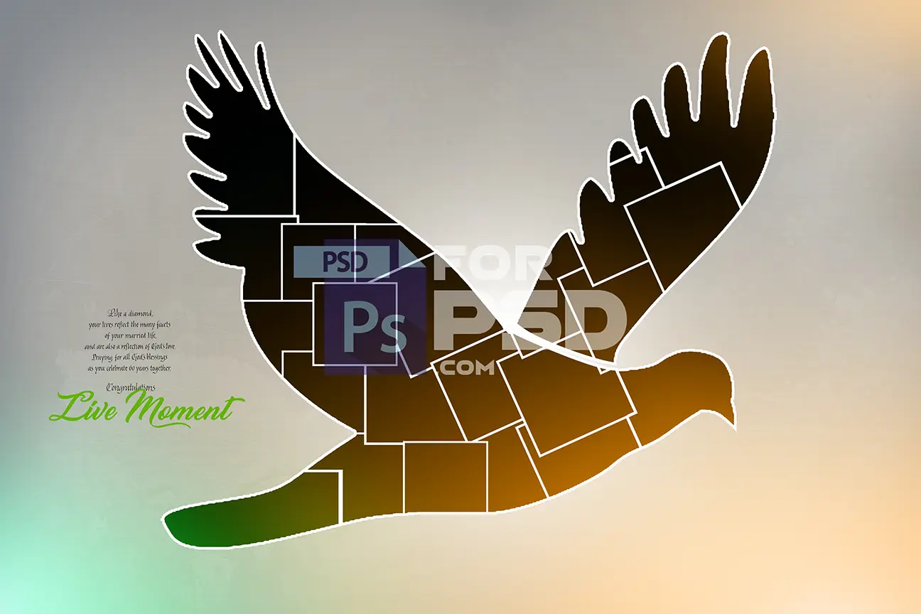 Image Preview